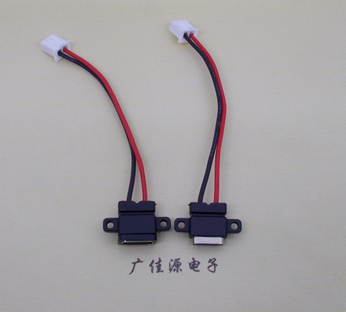 玉林简易type c2p防水母座注塑成型带双螺丝孔焊线式带线带接线端子单充电功能
