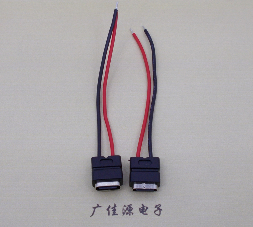 玉林type c2p防水母座焊线式带线注塑成型带接线端子/不带接线端子充电连接器